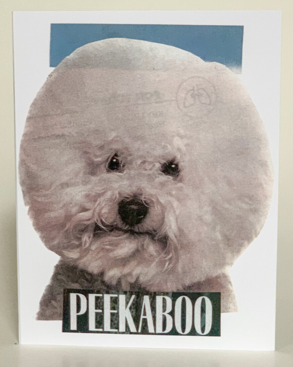 Anytime Greeting Card (Pack of 6) Barnes Cards, LLC