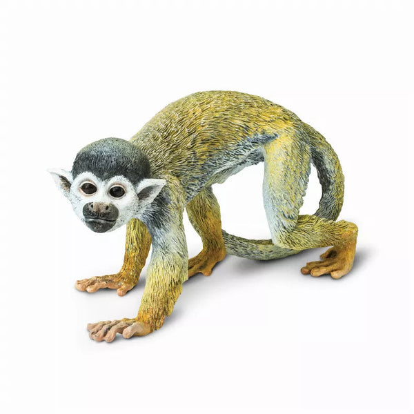 Squirrel Monkey Safari LTD