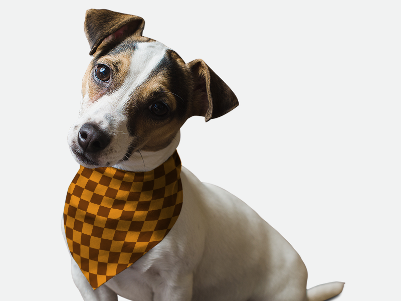 1930s Retro Style Bandoggies