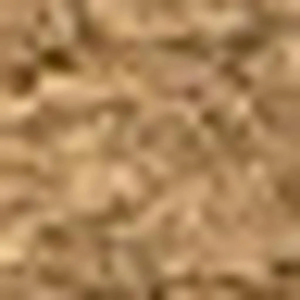 2' X 3' Light Brown Indoor Outdoor Area Rug Homeroots Outdoor