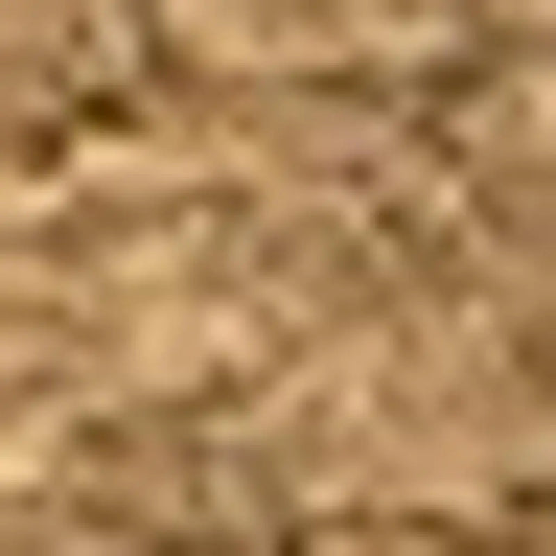 2' X 3' Light Brown Indoor Outdoor Area Rug Homeroots Outdoor