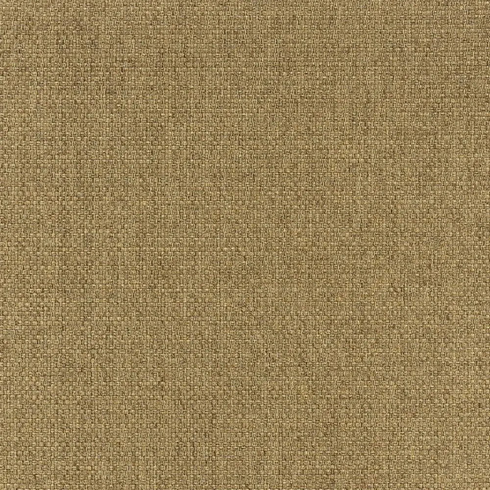 2' X 4' Tan Indoor Outdoor Area Rug Homeroots Outdoor