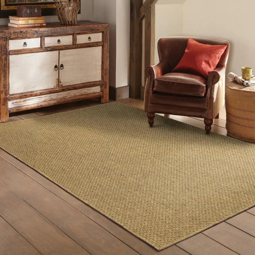 2' X 4' Tan Indoor Outdoor Area Rug Homeroots Outdoor