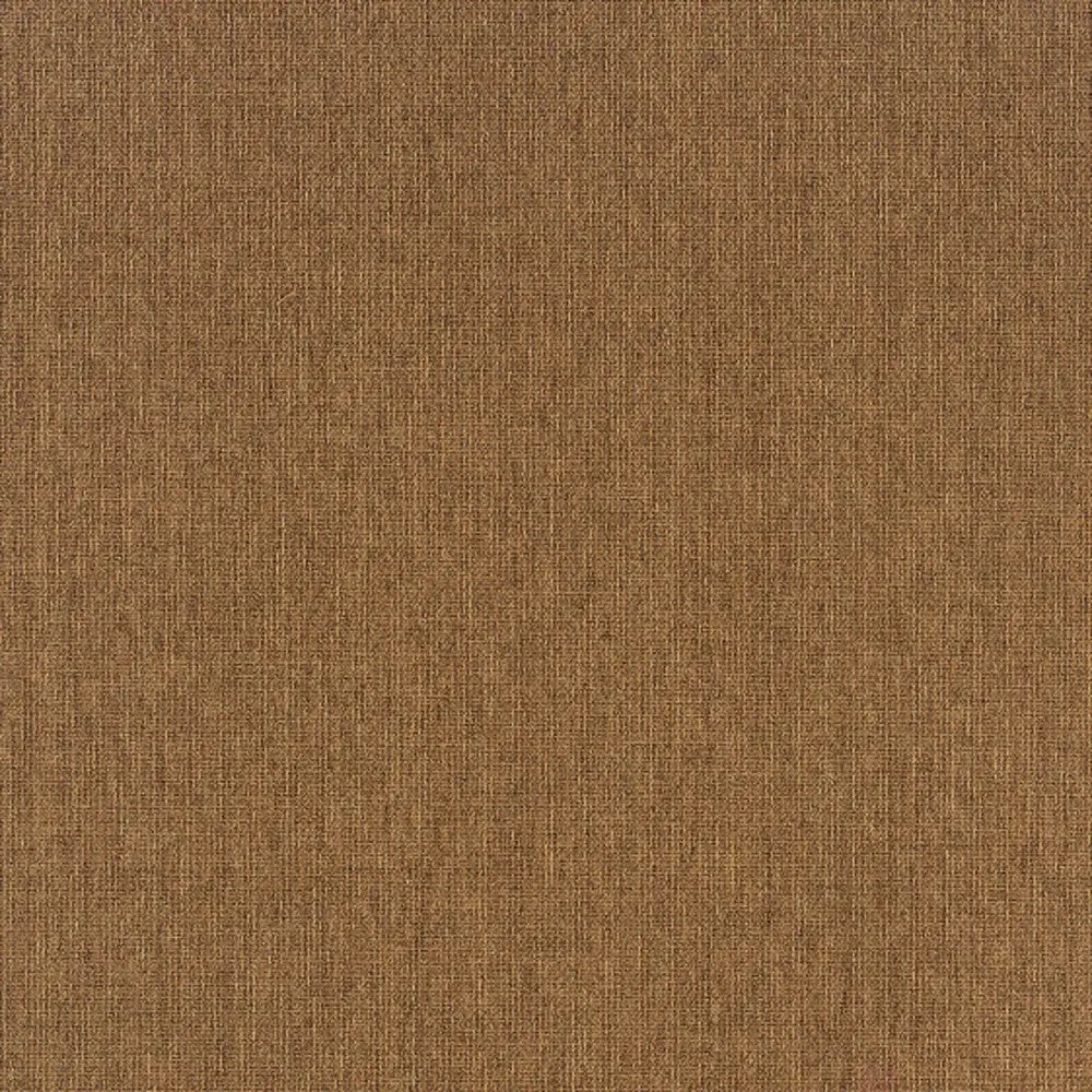 2' X 4' Tan Stain Resistant Indoor Outdoor Area Rug Homeroots Outdoor