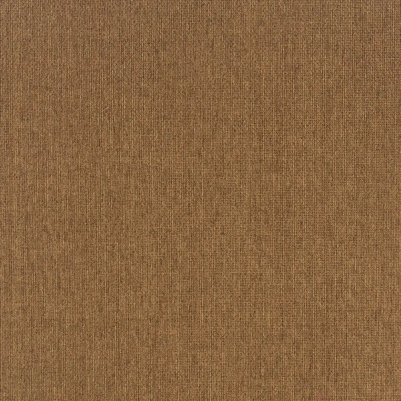 2' X 4' Tan Stain Resistant Indoor Outdoor Area Rug Homeroots Outdoor