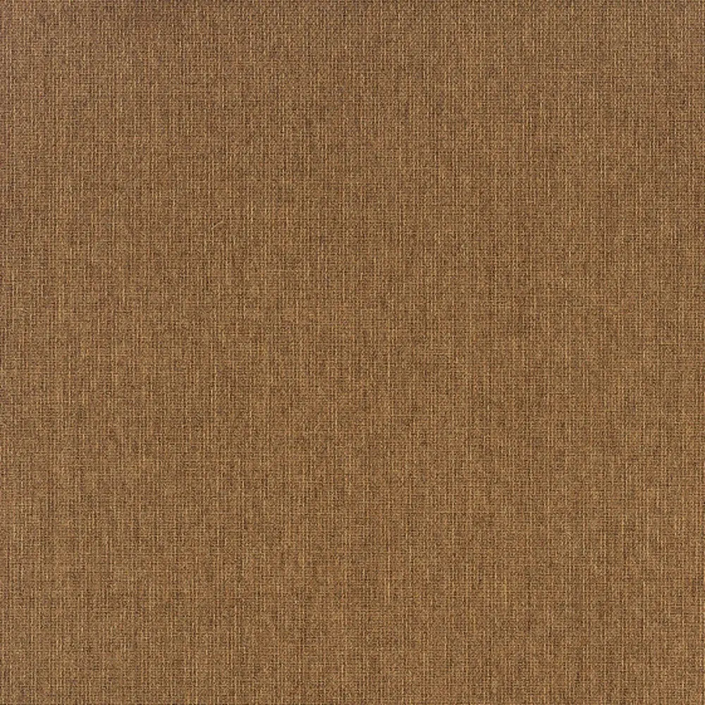 2' X 4' Tan Stain Resistant Indoor Outdoor Area Rug Homeroots Outdoor