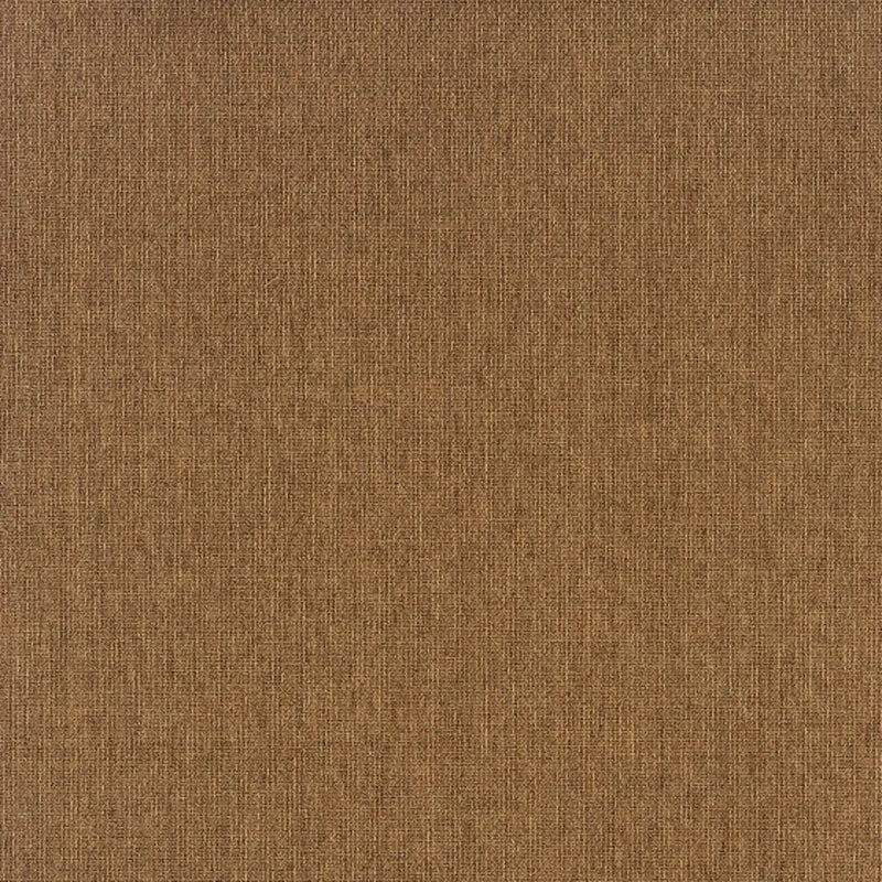2' X 4' Tan Stain Resistant Indoor Outdoor Area Rug Homeroots Outdoor