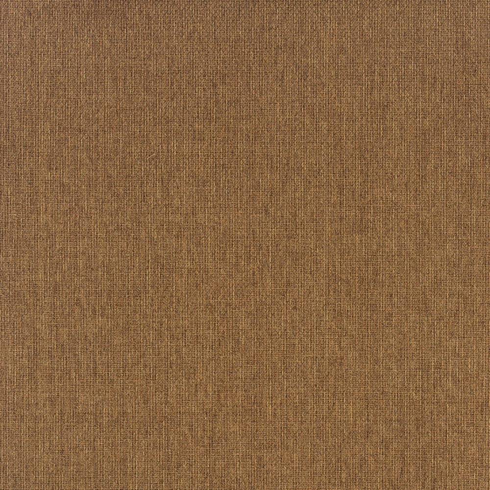 2' X 4' Tan Stain Resistant Indoor Outdoor Area Rug Homeroots Outdoor