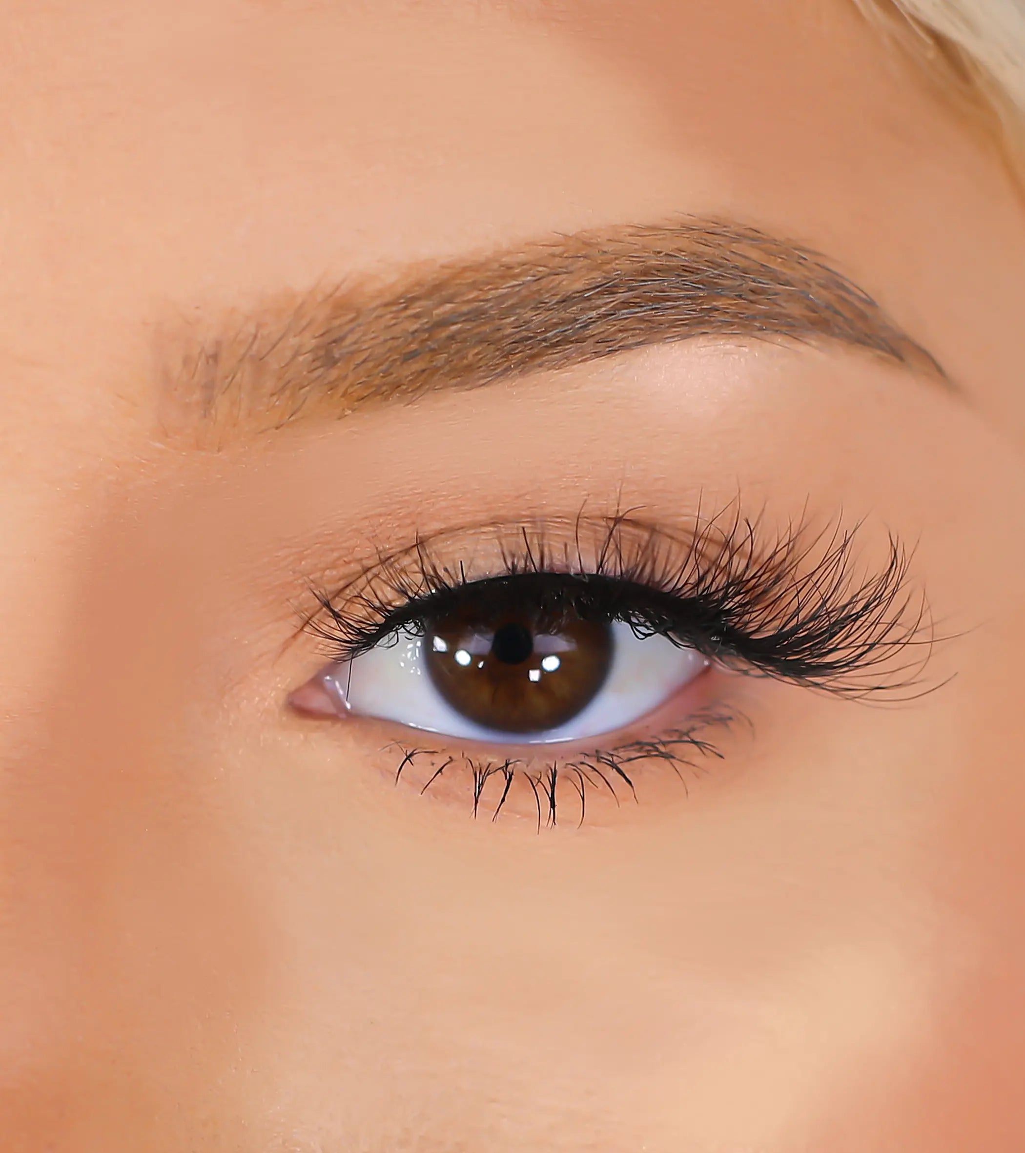 3D Mink Eyelashes - Cardi Lurella Cosmetics