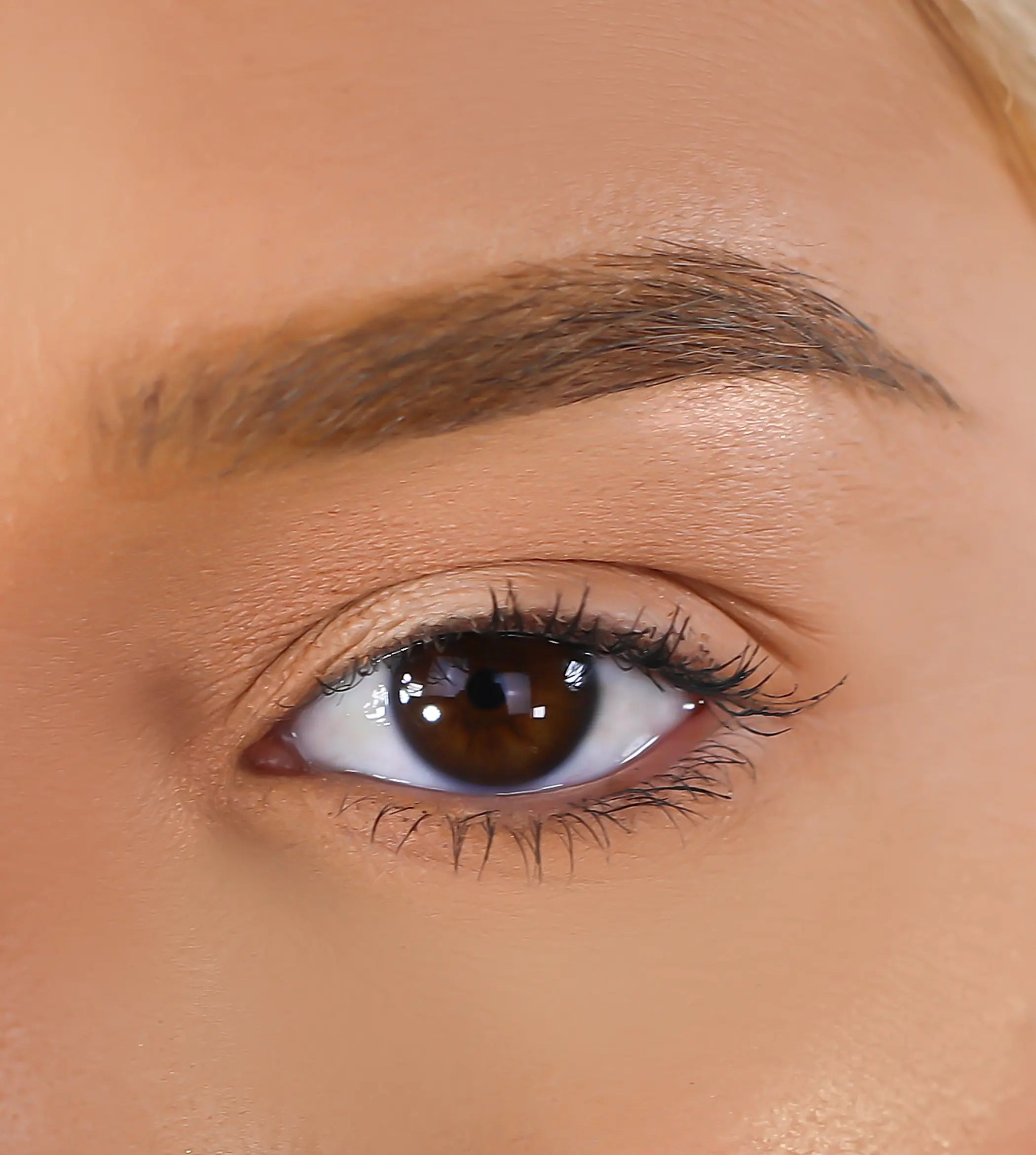 3D Mink Eyelashes - Cardi Lurella Cosmetics