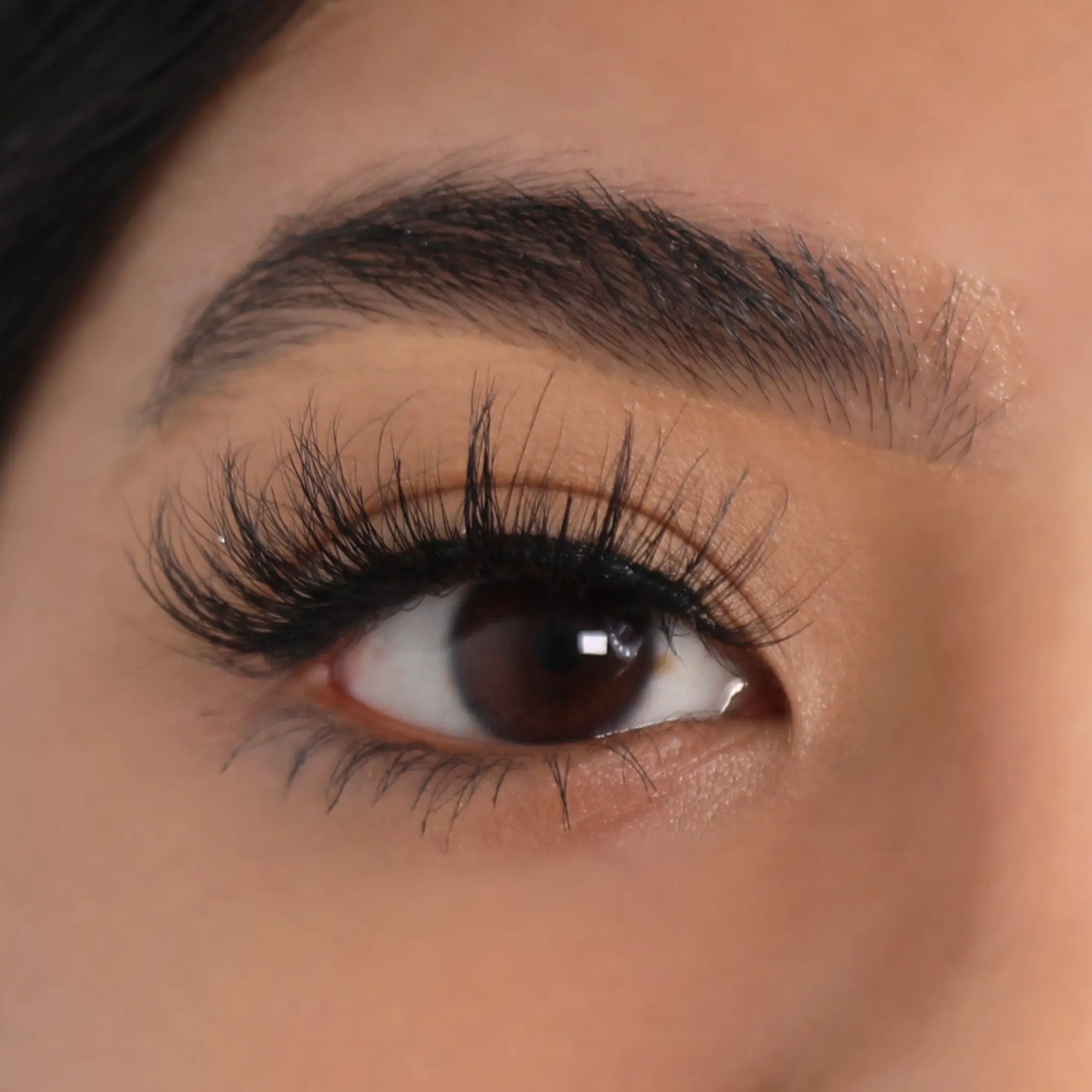 3D Mink Eyelashes - Compelling Lurella Cosmetics