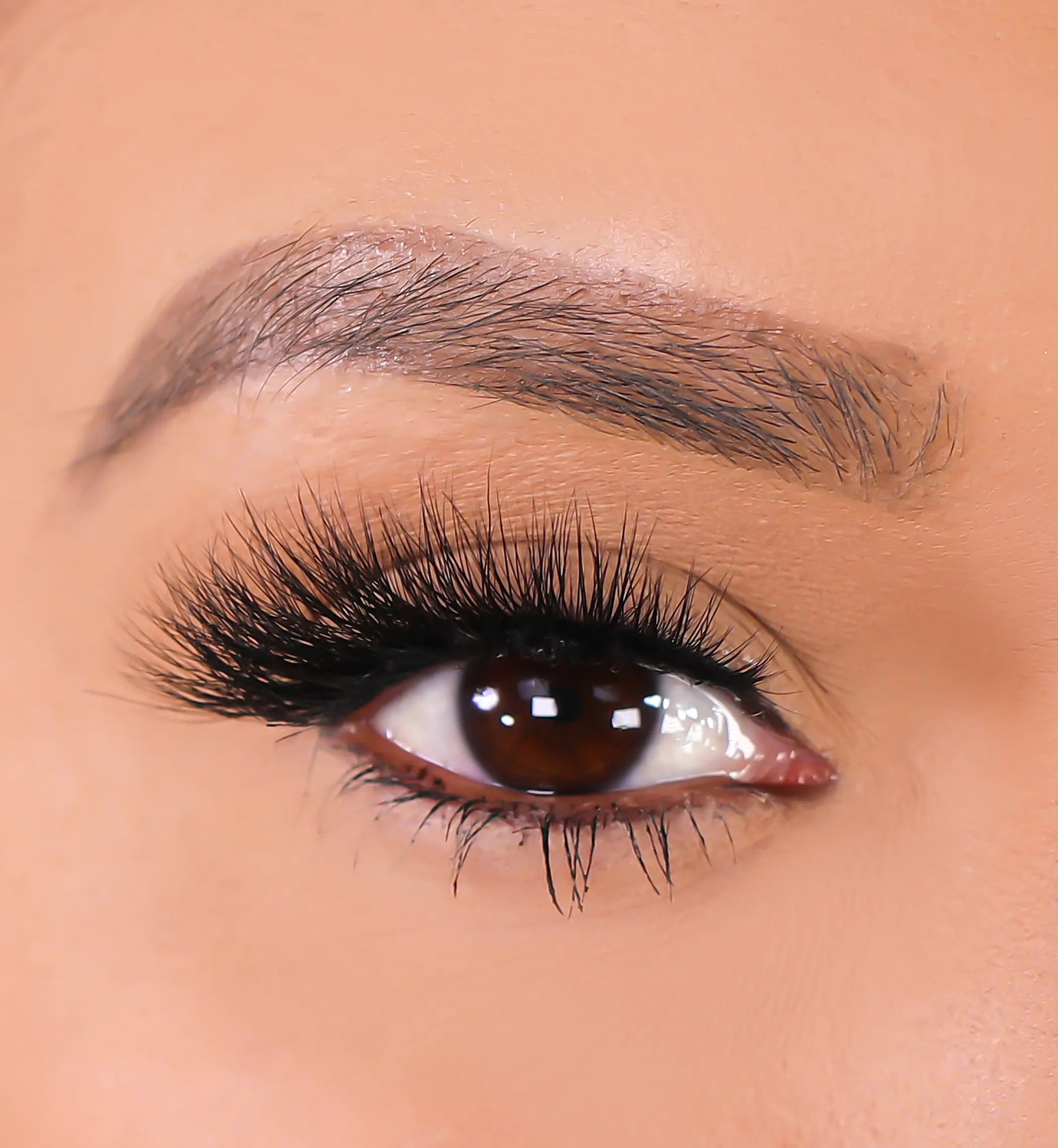 3D Mink Eyelashes - Lioness Lurella Cosmetics