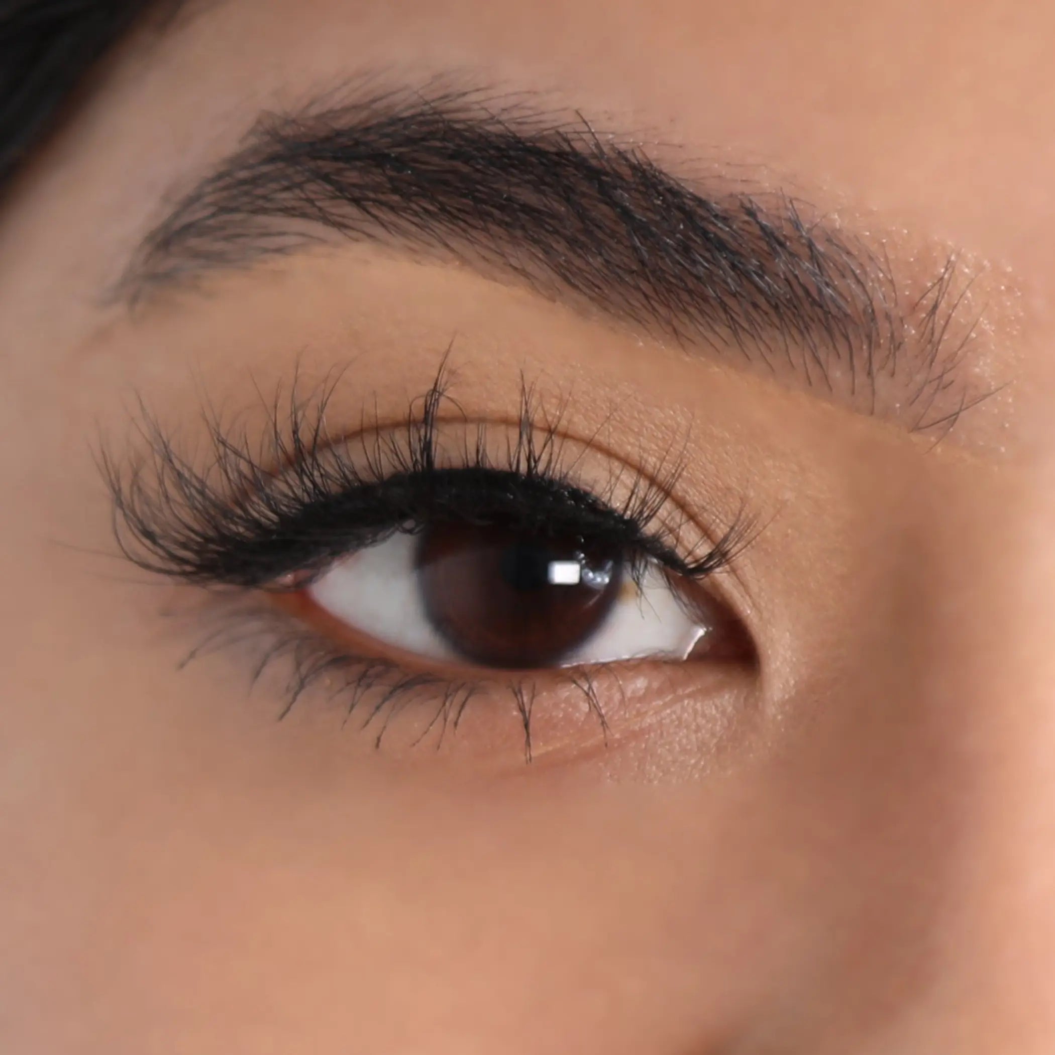 3D Mink Eyelashes - Redemption Lurella Cosmetics