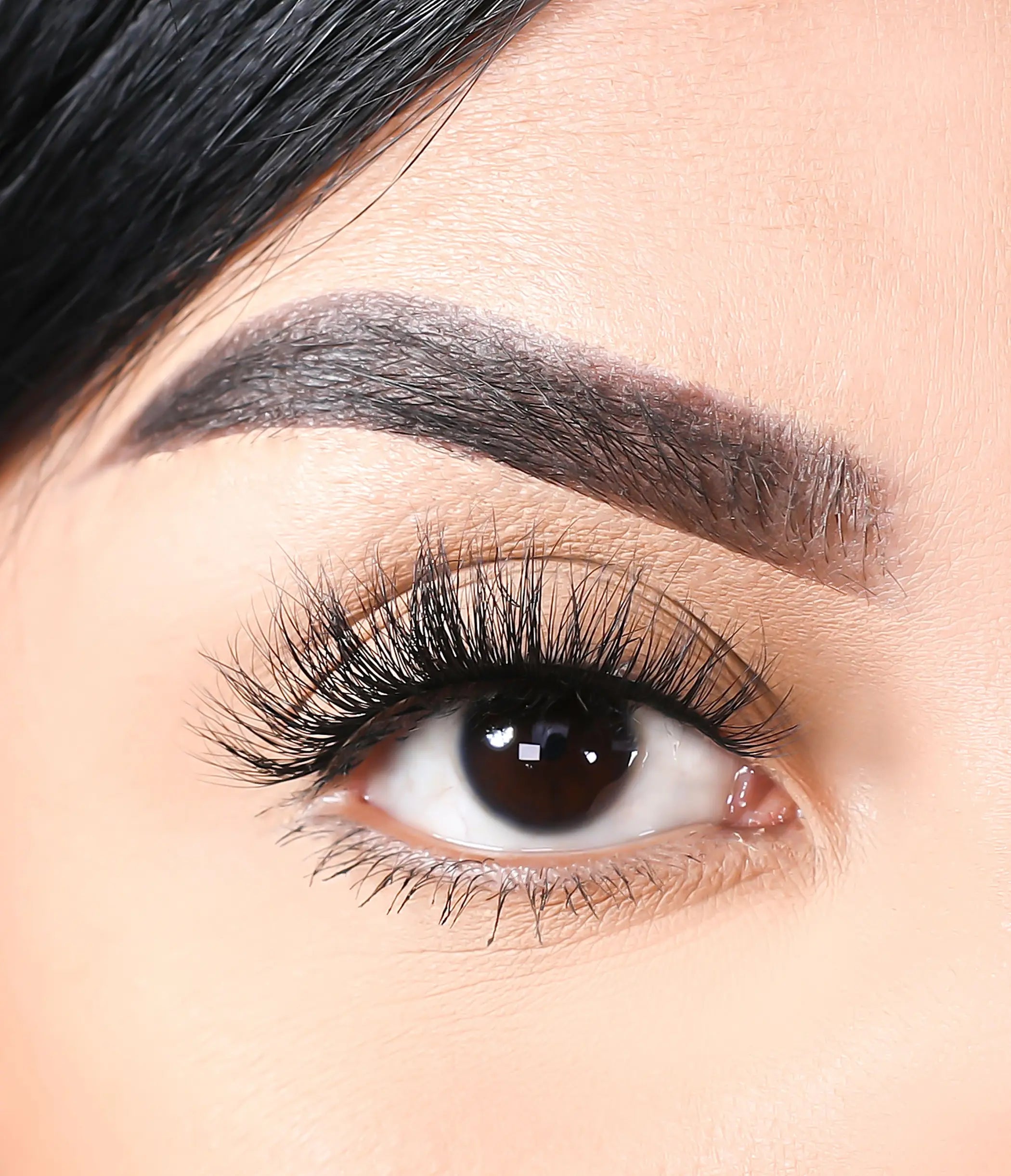 3D Mink Eyelashes - Wolves Lurella Cosmetics