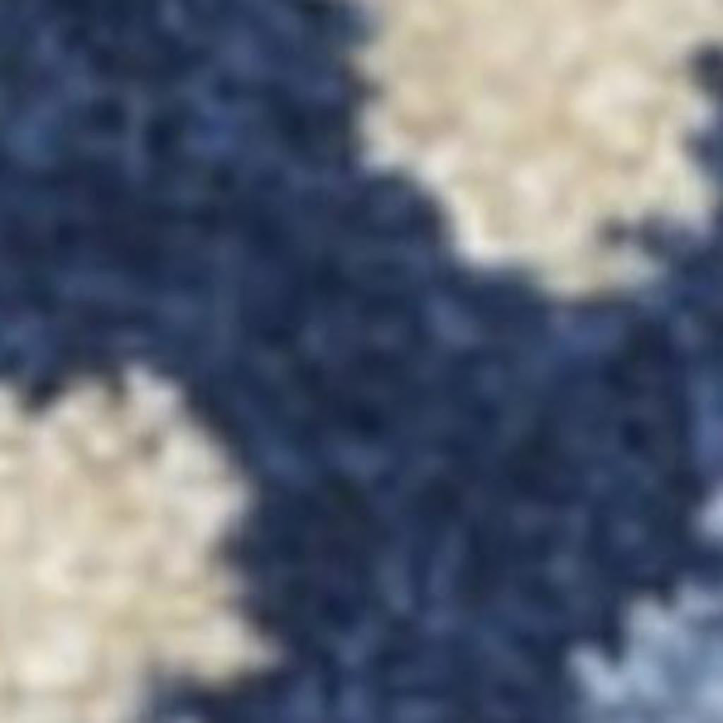 3' X 4' Blue And Gray Indoor Outdoor Area Rug - GreatEagleInc