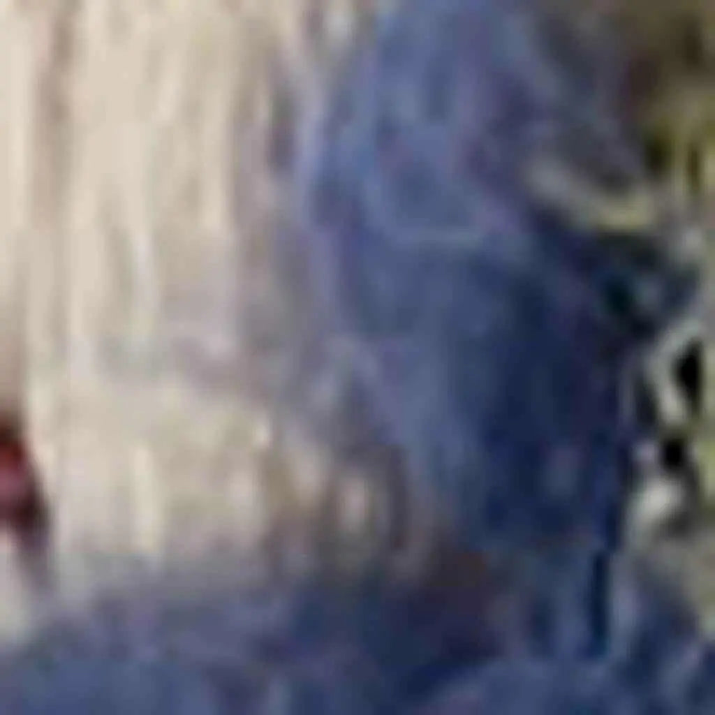 251727286