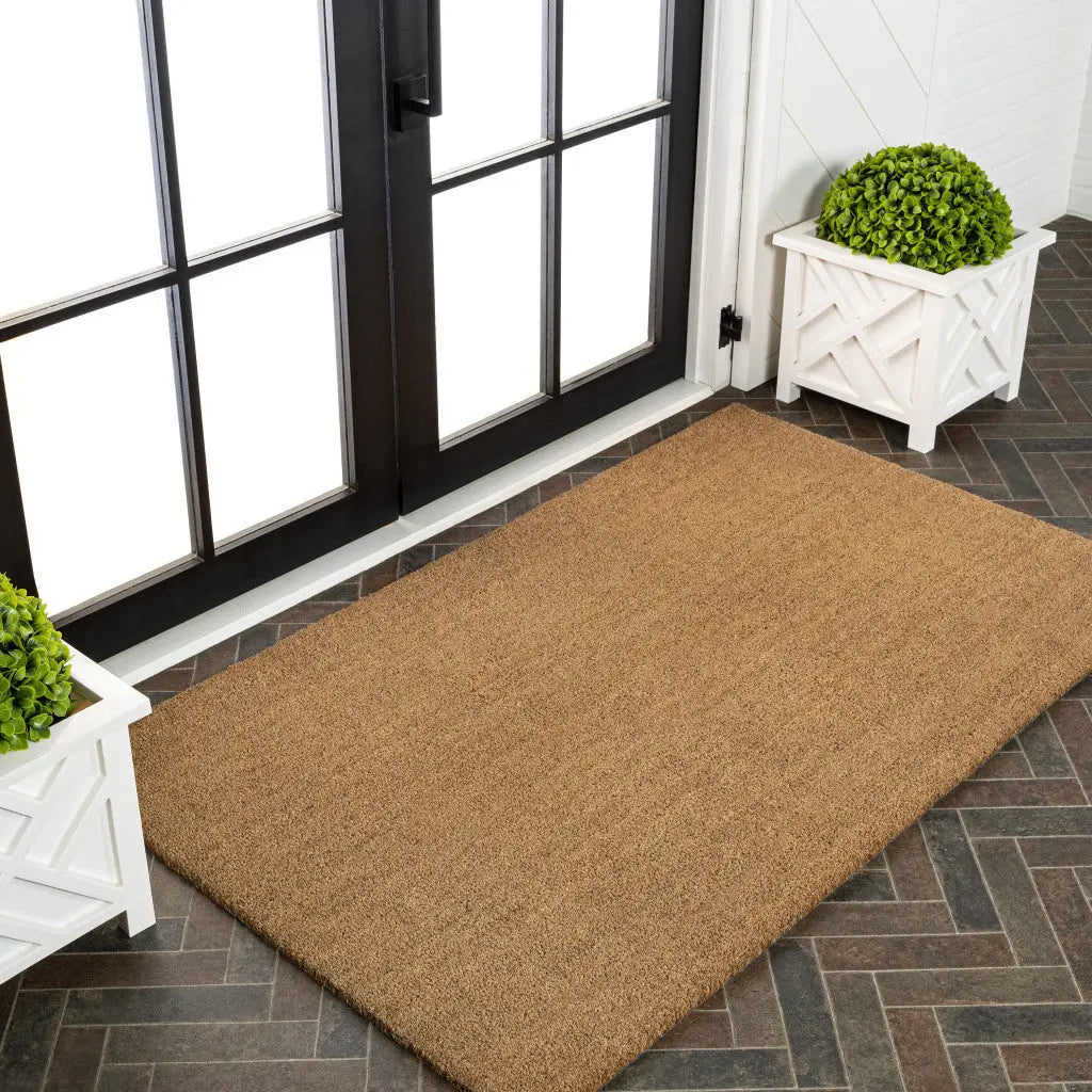 3' X 4' Light Brown Indoor Outdoor Area Rug Homeroots Outdoor