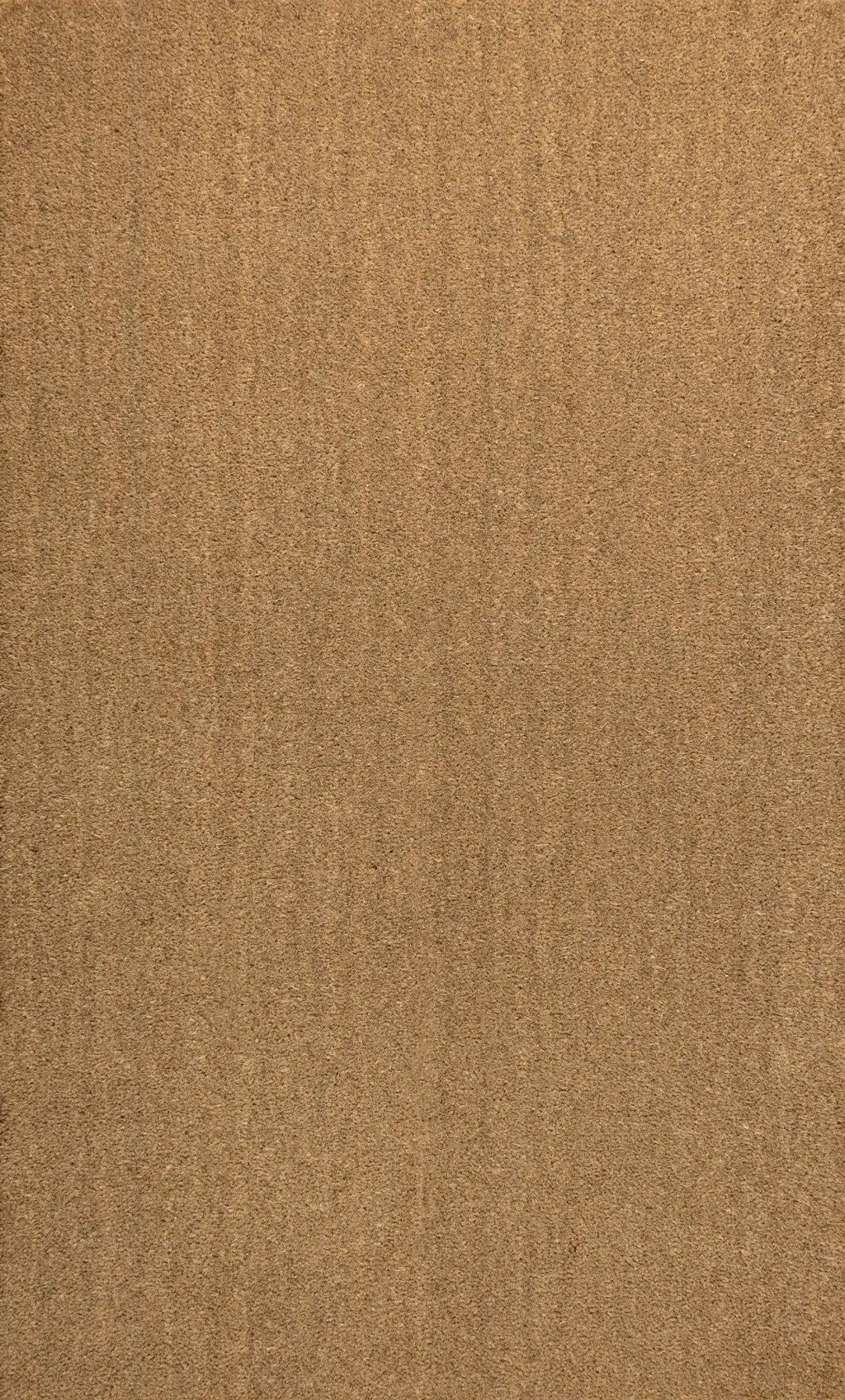 3' X 4' Light Brown Indoor Outdoor Area Rug Homeroots Outdoor