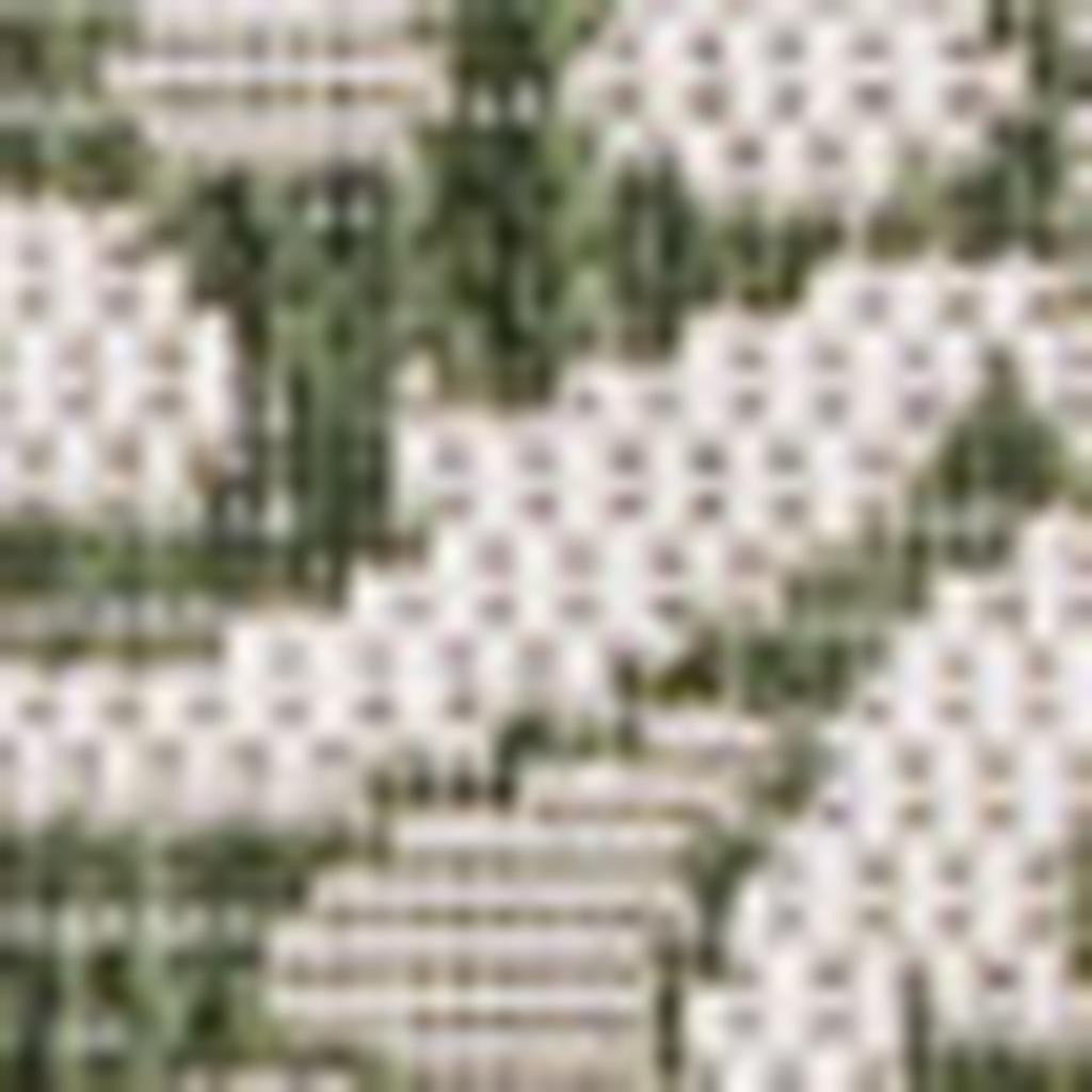 3' X 5' Green And Cream Floral Indoor Outdoor Area Rug - GreatEagleInc