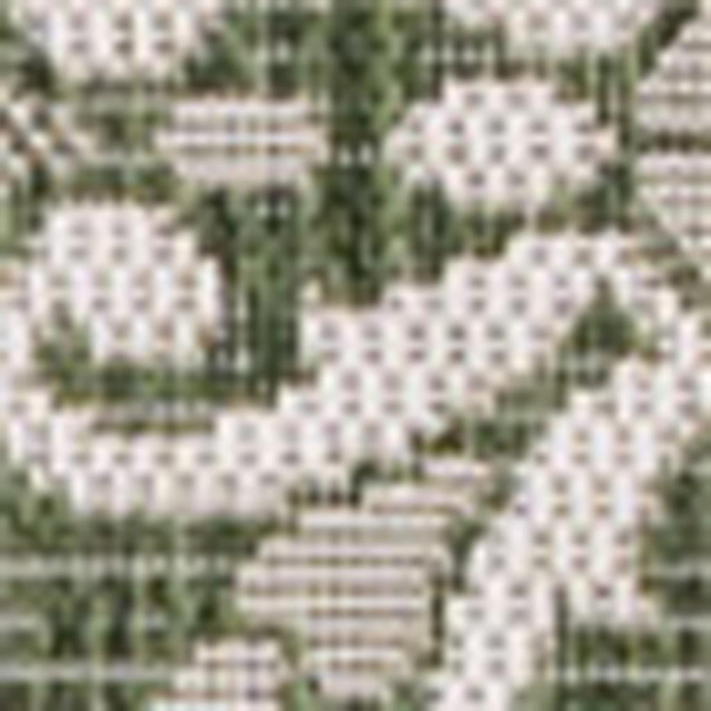 3' X 5' Green And Cream Floral Indoor Outdoor Area Rug - GreatEagleInc