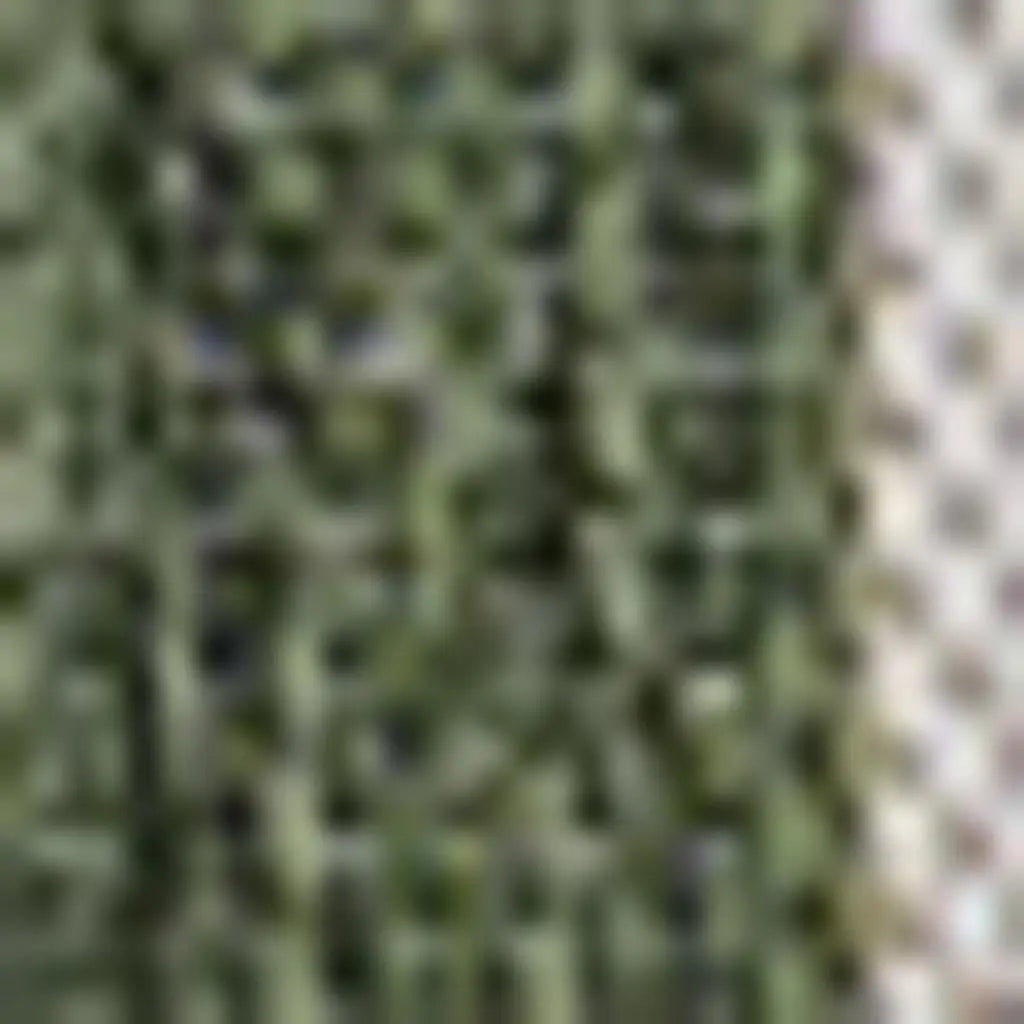 3' X 5' Green And Cream Geometric Indoor Outdoor Area Rug - GreatEagleInc