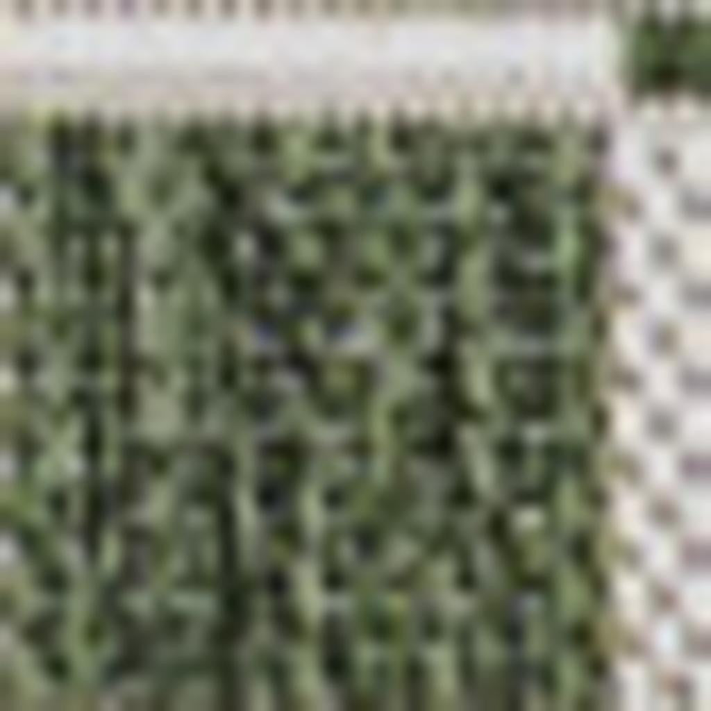 3' X 5' Green And Cream Geometric Indoor Outdoor Area Rug - GreatEagleInc