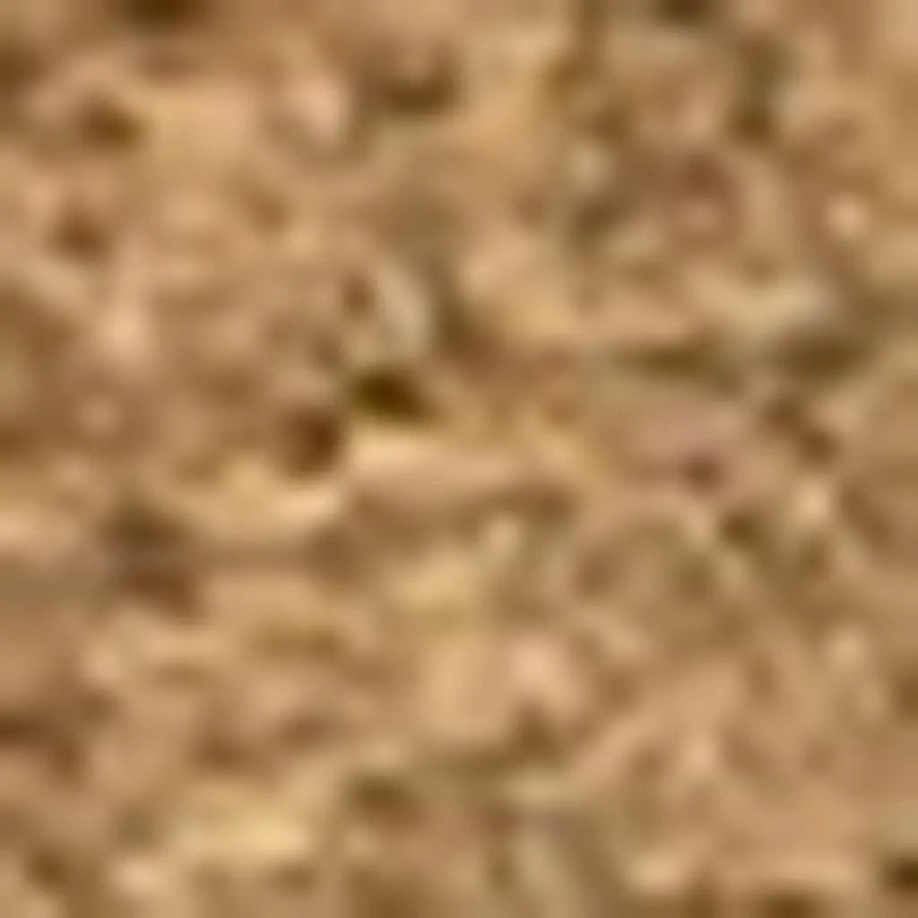 3' X 6' Light Brown Indoor Outdoor Area Rug Homeroots Outdoor