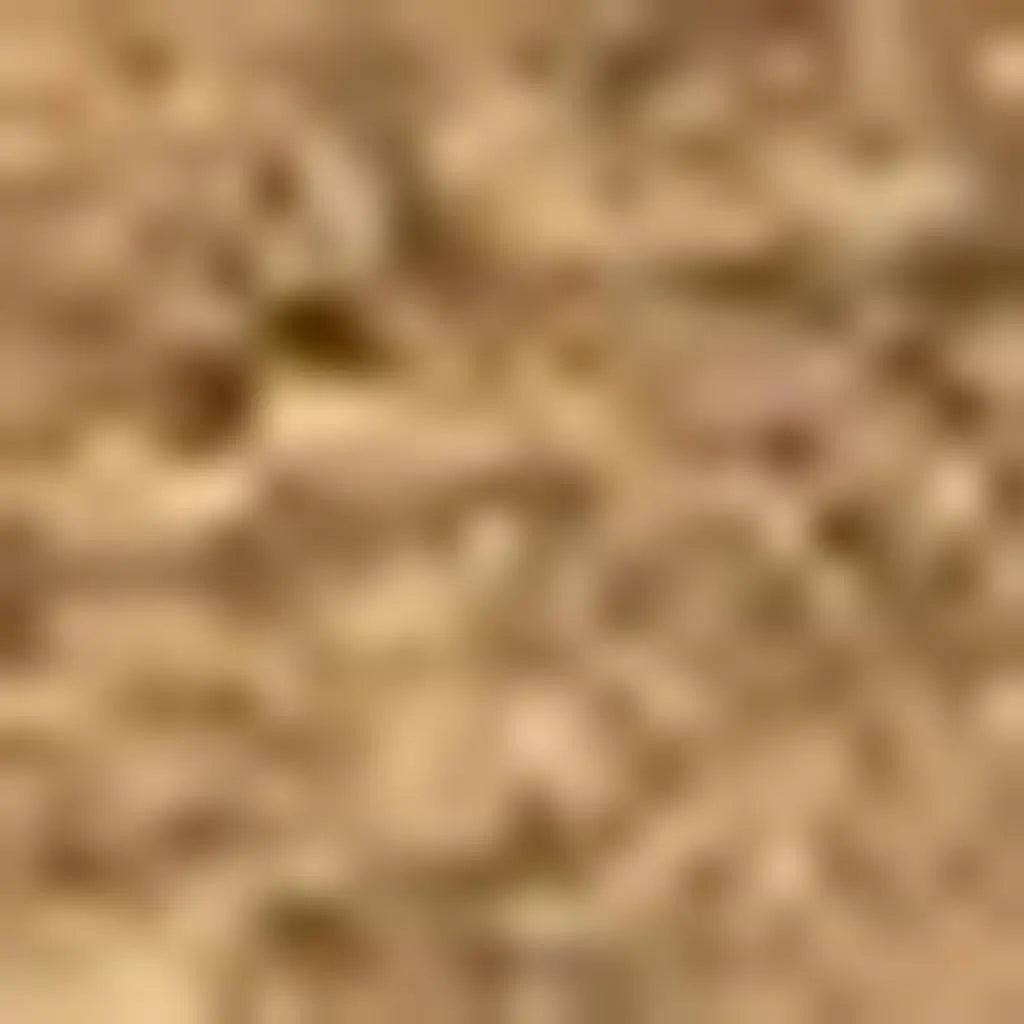 3' X 6' Light Brown Indoor Outdoor Area Rug Homeroots Outdoor