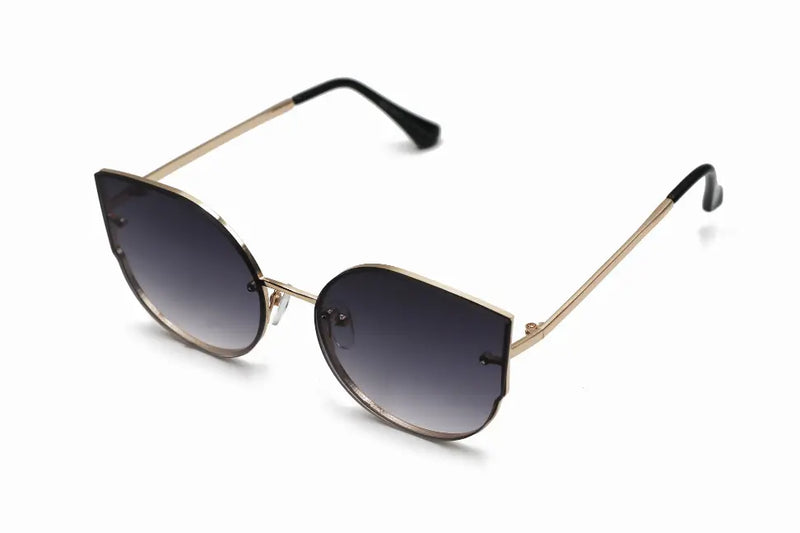 4242 Sunglasses Genesis International