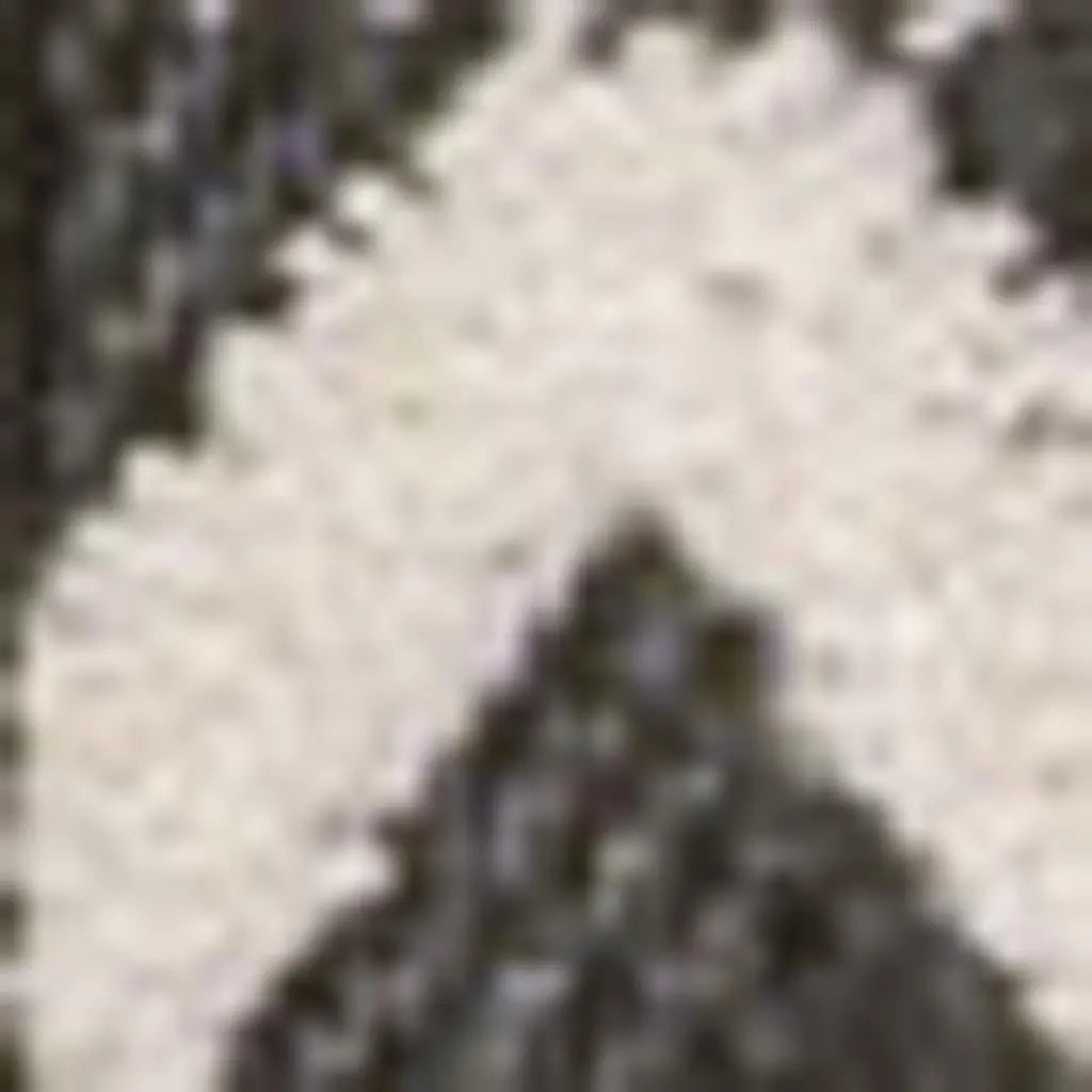 4' X 6' Cream And Black Trellis Indoor Outdoor Area Rug Homeroots Outdoor