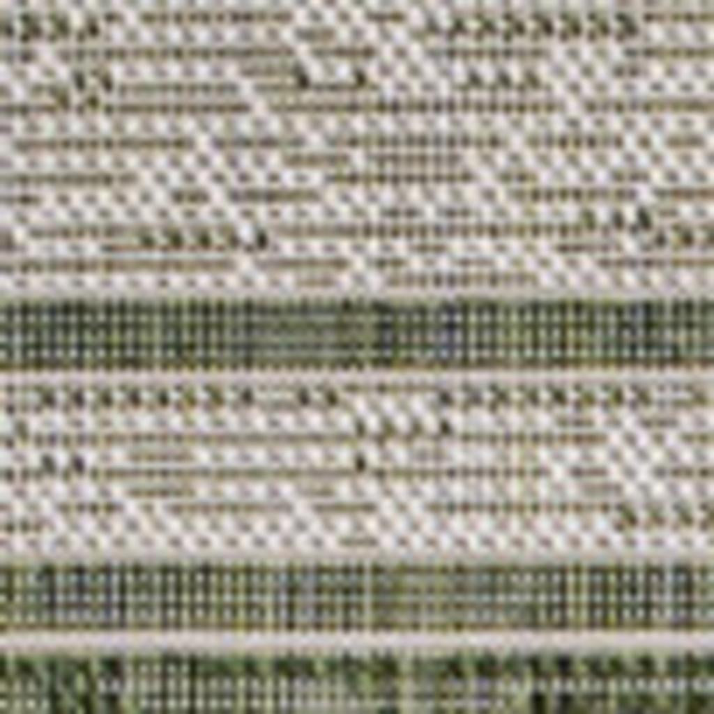 4' X 6' Green And Cream Indoor Outdoor Area Rug - GreatEagleInc