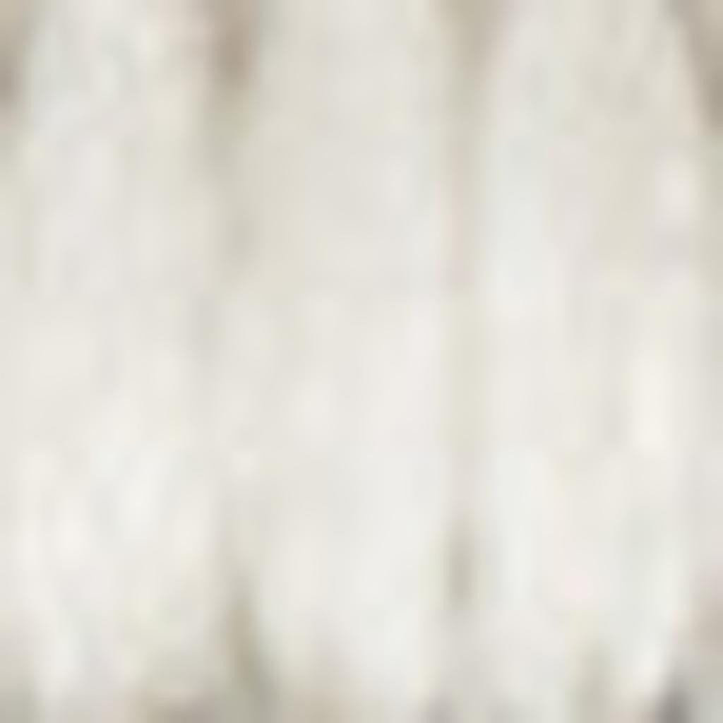 4' X 6' Ivory Indoor Outdoor Area Rug - GreatEagleInc