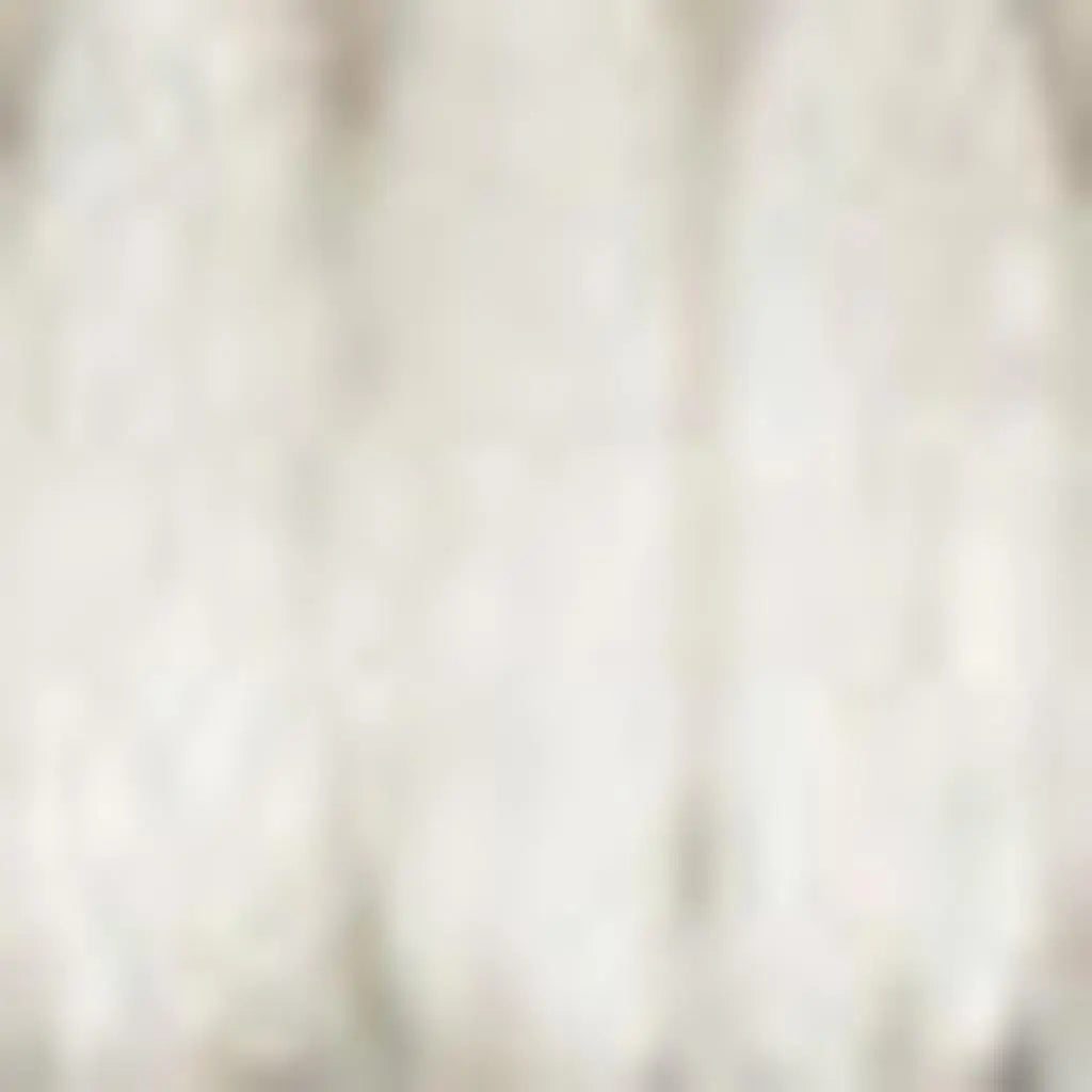 4' X 6' Ivory Indoor Outdoor Area Rug - GreatEagleInc