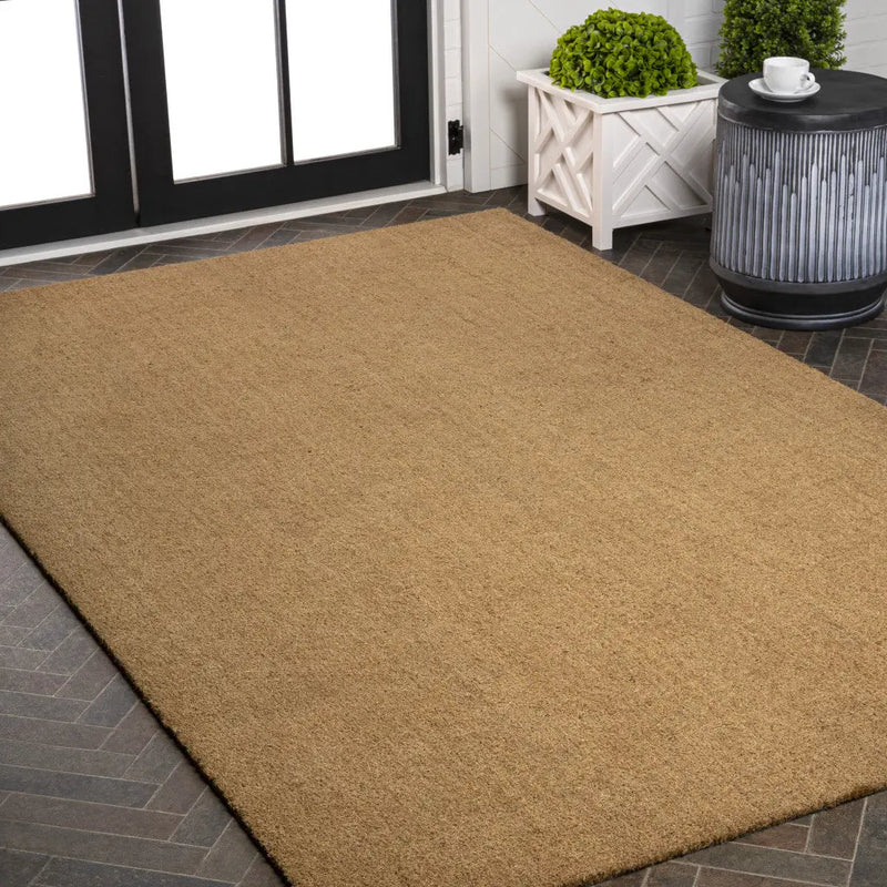 4' X 6' Light Brown Indoor Outdoor Area Rug Homeroots Outdoor