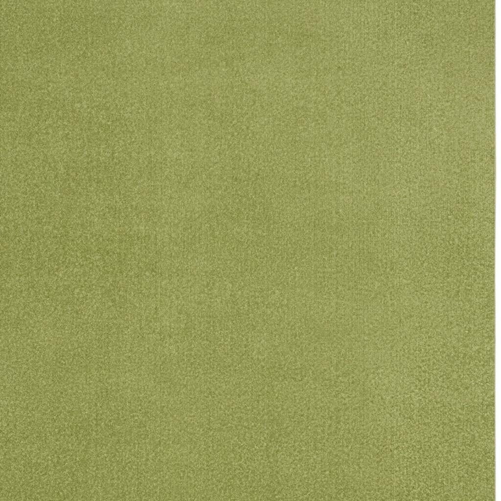 5' X 7' Green Indoor Outdoor Area Rug - GreatEagleInc