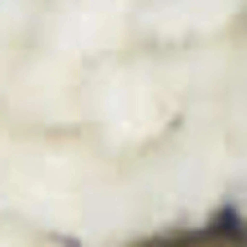 251724900
