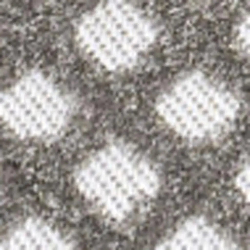 5' X 8' Dark Gray And Ivory Trellis Indoor Outdoor Area Rug - GreatEagleInc