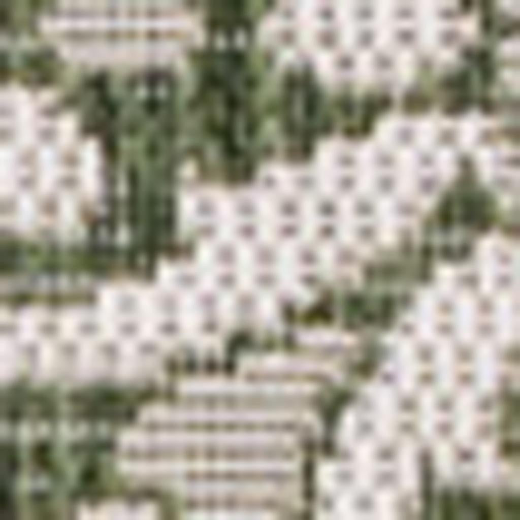 5' X 8' Green And Cream Floral Indoor Outdoor Area Rug - GreatEagleInc