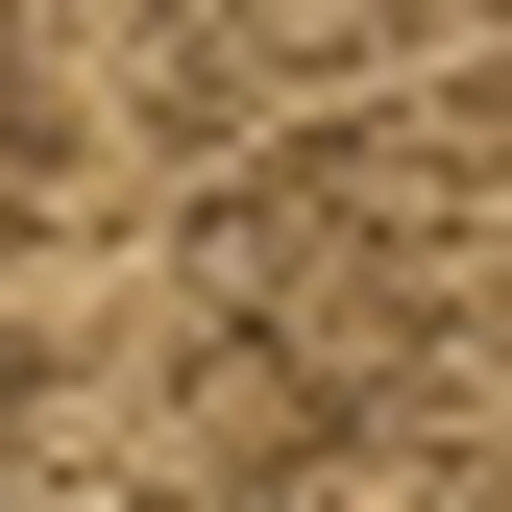 5' X 8' Light Brown Indoor Outdoor Area Rug Homeroots Outdoor