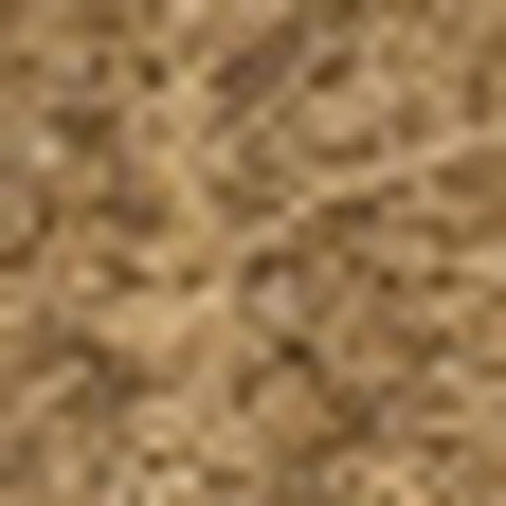 5' X 8' Light Brown Indoor Outdoor Area Rug Homeroots Outdoor