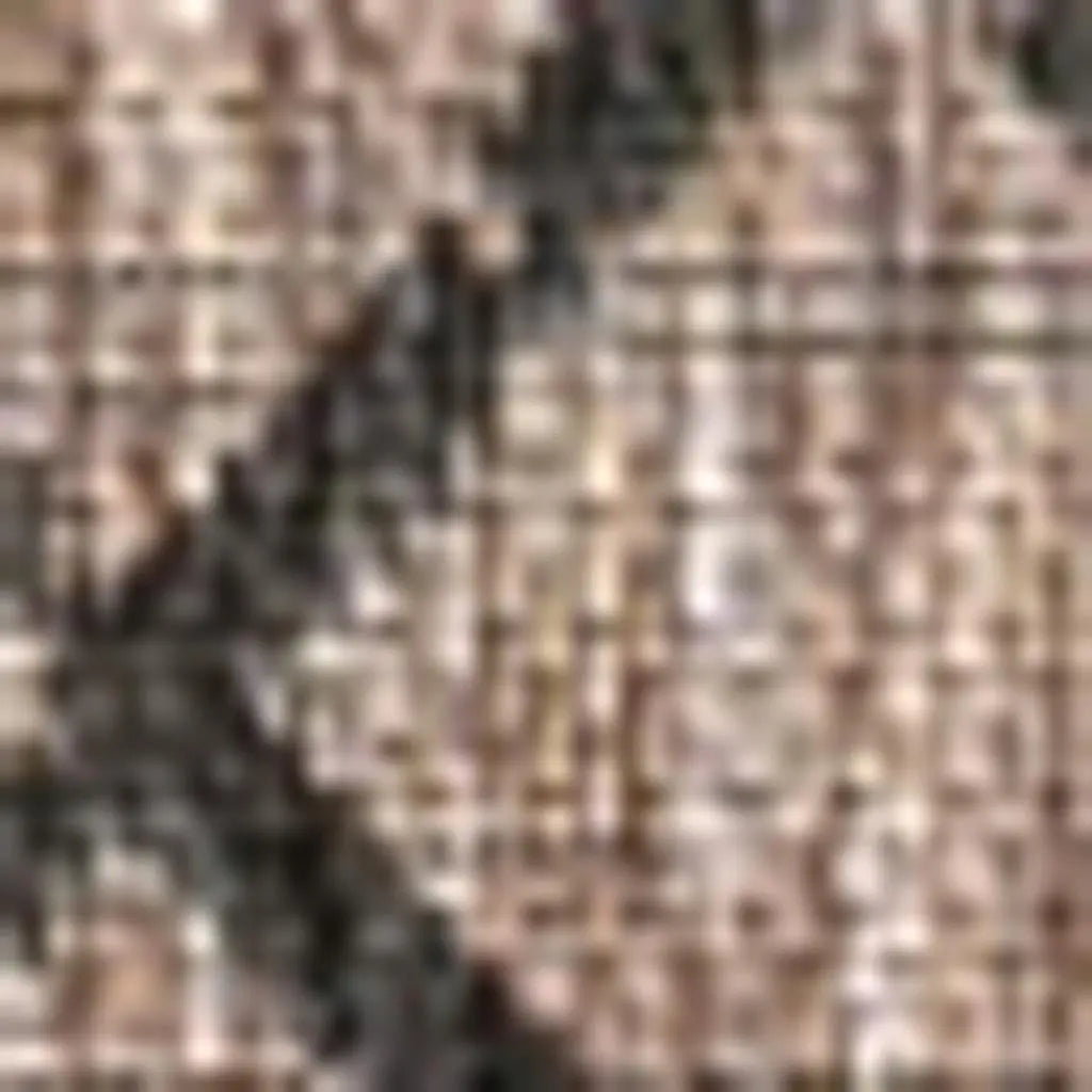 5' X 8' Natural And Black Trellis Indoor Outdoor Area Rug Homeroots Outdoor