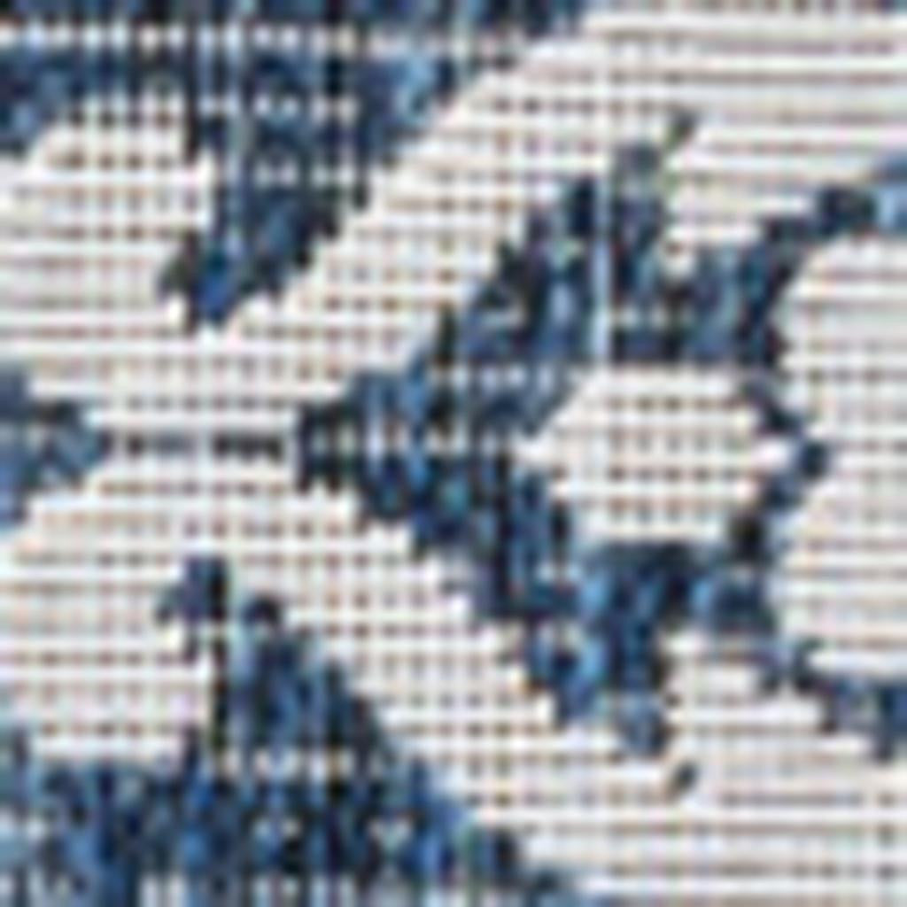 5' X 8' Navy Blue And Cream Floral Indoor Outdoor Area Rug - GreatEagleInc