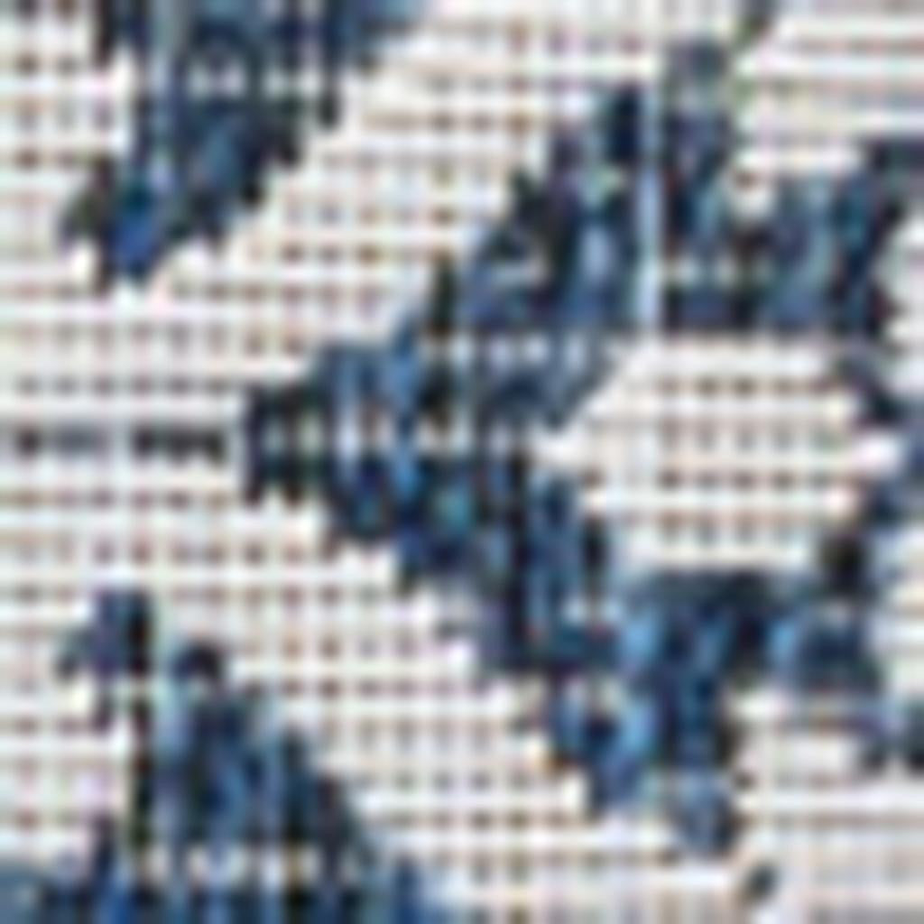 5' X 8' Navy Blue And Cream Floral Indoor Outdoor Area Rug - GreatEagleInc