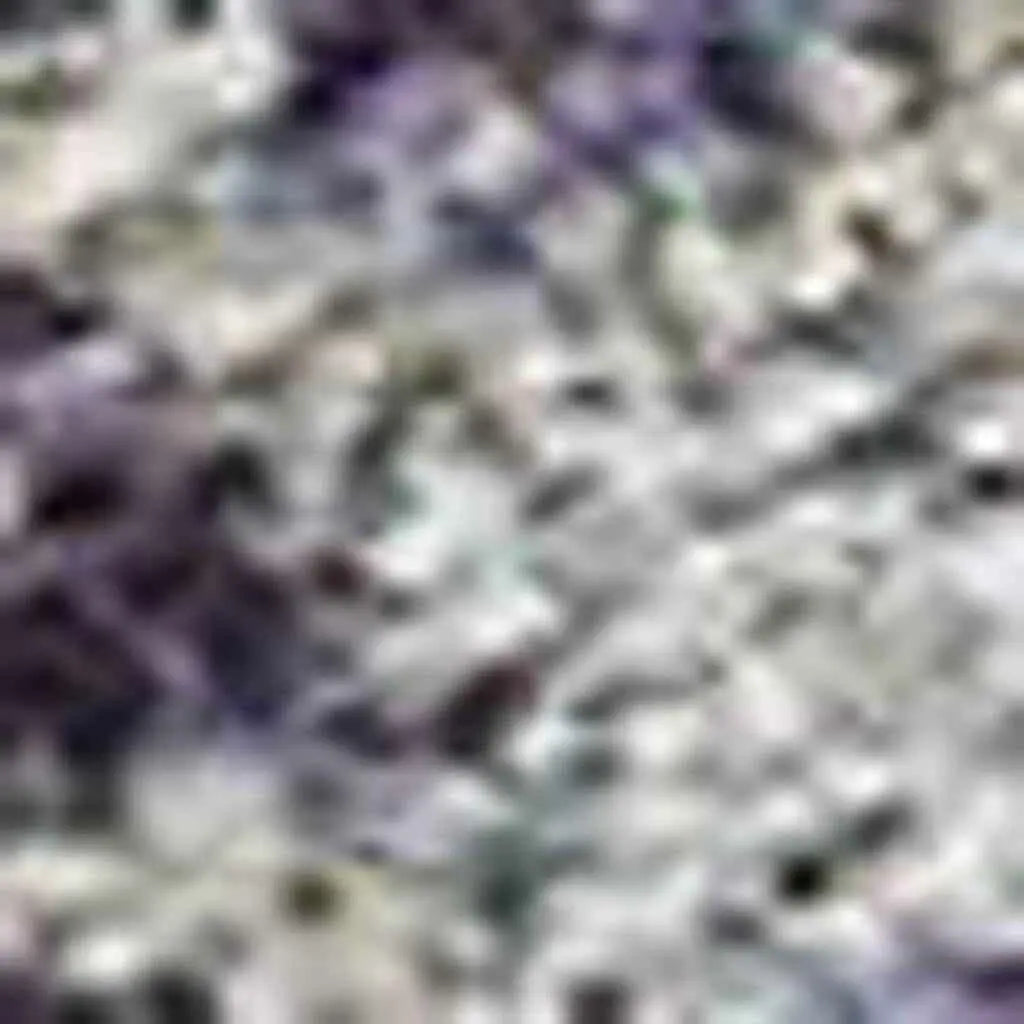 264070747