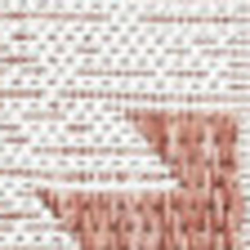 5' X 8' Salmon And Cream Moroccan Indoor Outdoor Area Rug - GreatEagleInc