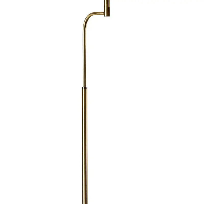 63" Brown LED Task Floor Lamp With Brass - GreatEagleInc