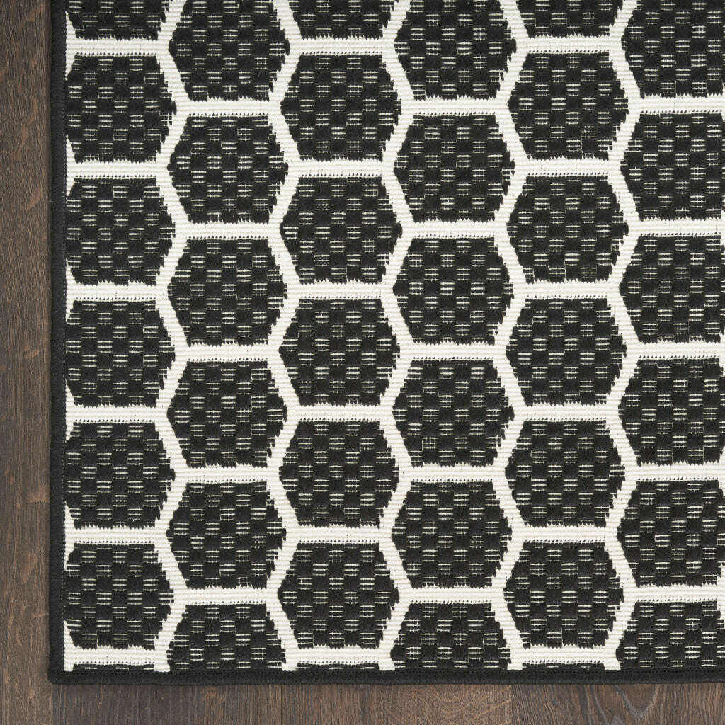 244205144