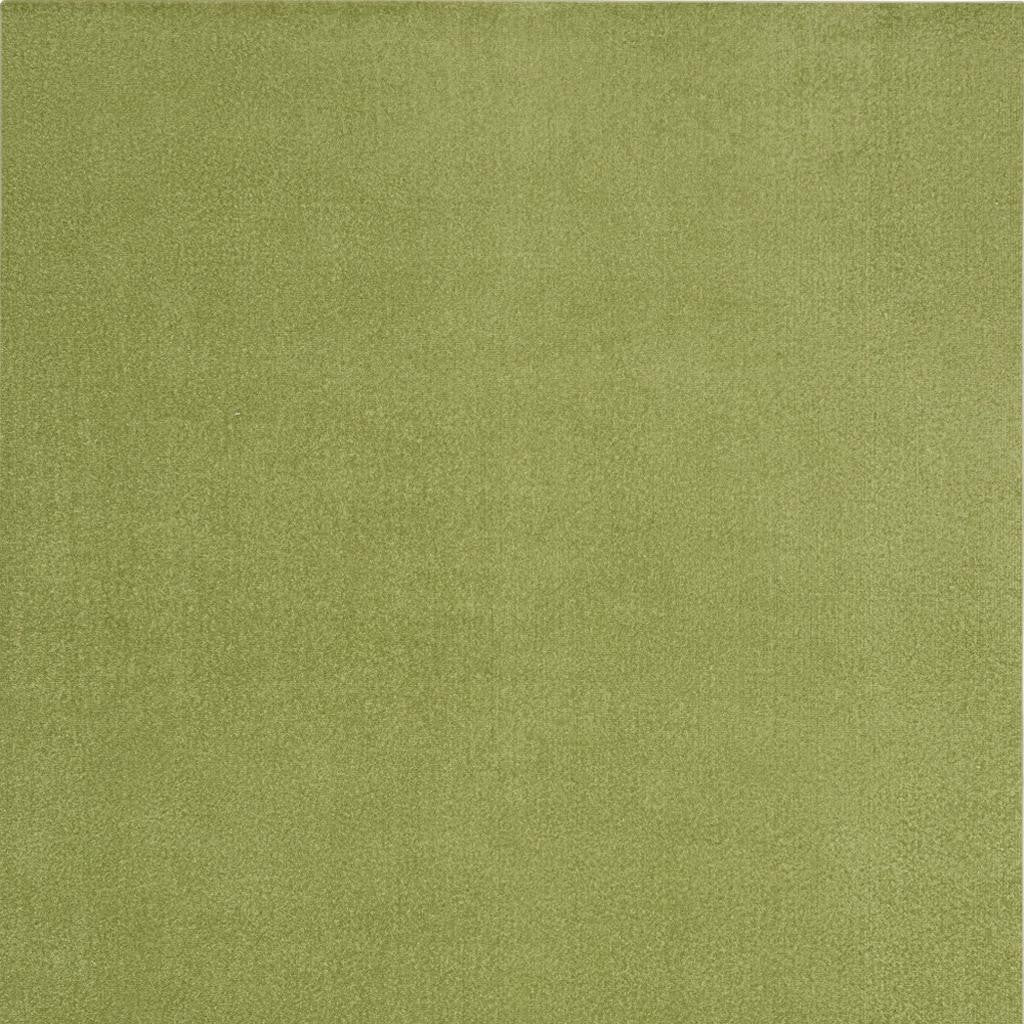6' X 9' Green Indoor Outdoor Area Rug - GreatEagleInc