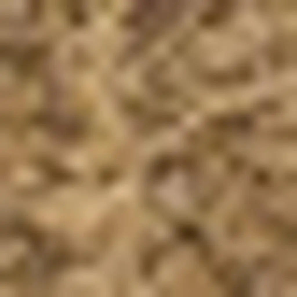 6' X 9' Light Brown Indoor Outdoor Area Rug - GreatEagleInc
