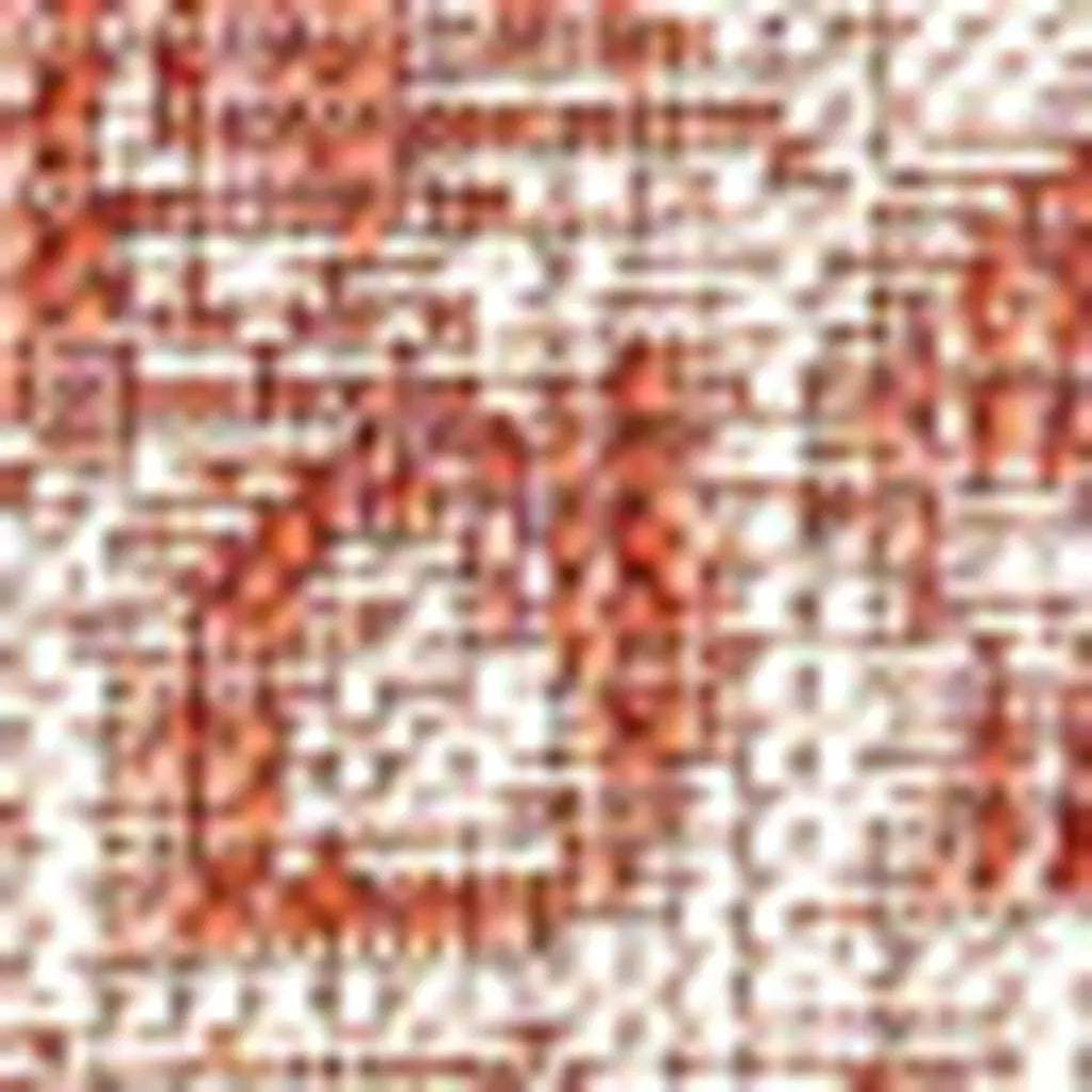 6' X 9' Red And Taupe Medallion Indoor Outdoor Area Rug Homeroots Outdoor